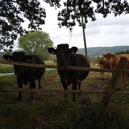 Vakantieverblijf Nature Stavelot Eksteriør bilde