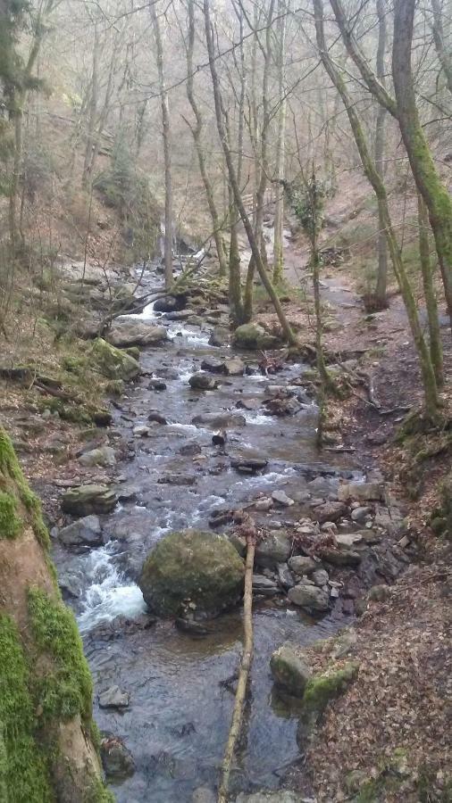 Vakantieverblijf Nature Stavelot Eksteriør bilde