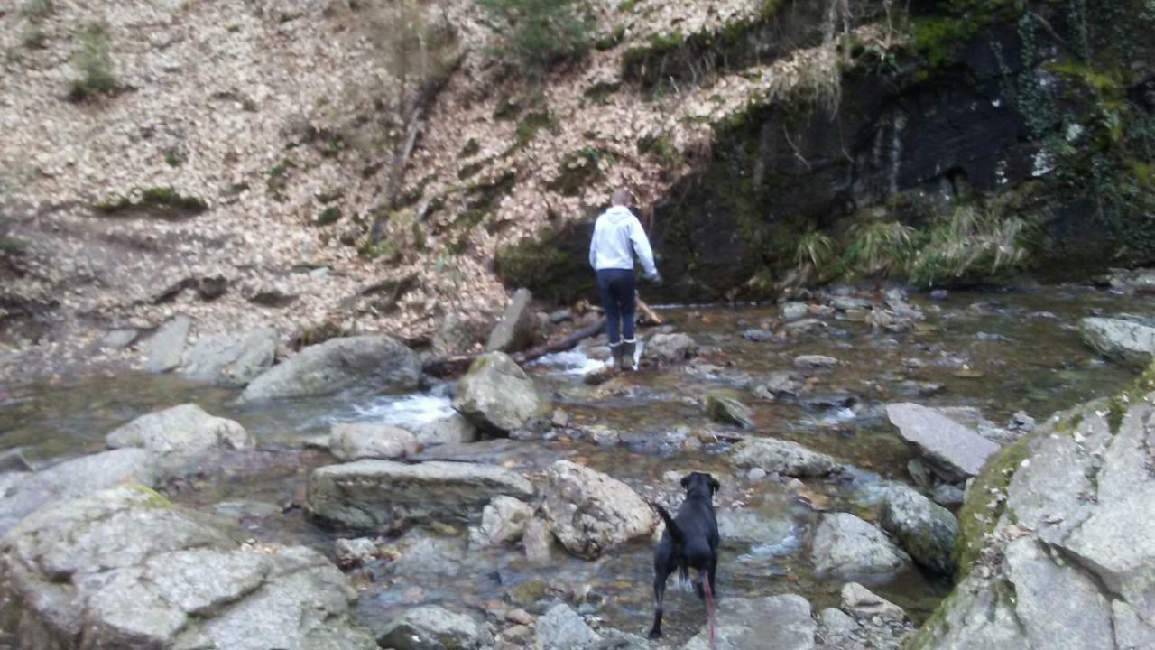 Vakantieverblijf Nature Stavelot Eksteriør bilde