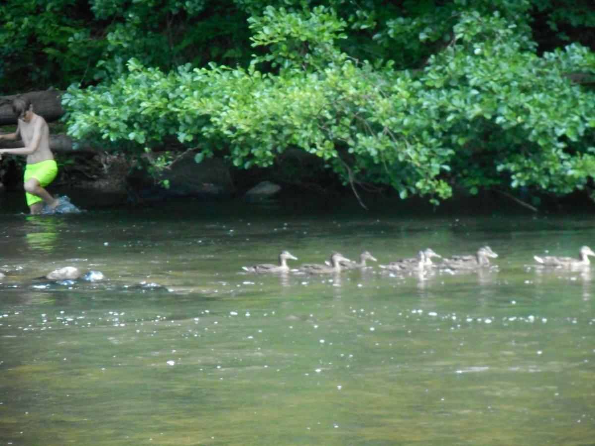 Vakantieverblijf Nature Stavelot Eksteriør bilde