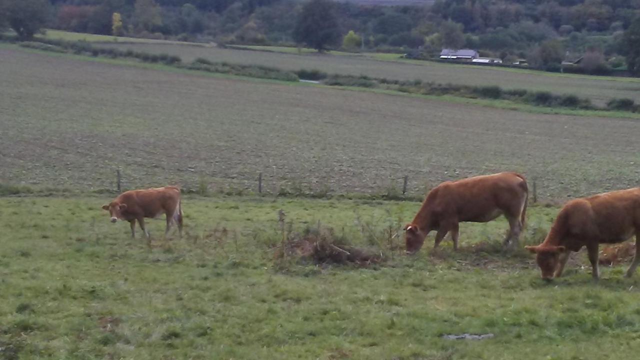 Vakantieverblijf Nature Stavelot Eksteriør bilde