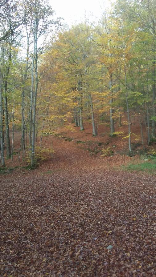 Vakantieverblijf Nature Stavelot Eksteriør bilde